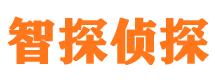 集宁智探私家侦探公司